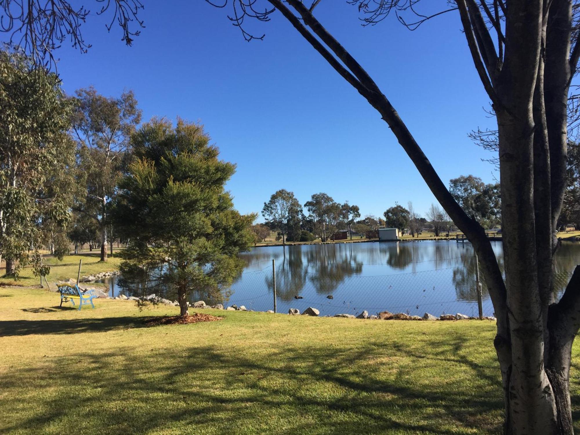 Junee Tourist Park Luaran gambar