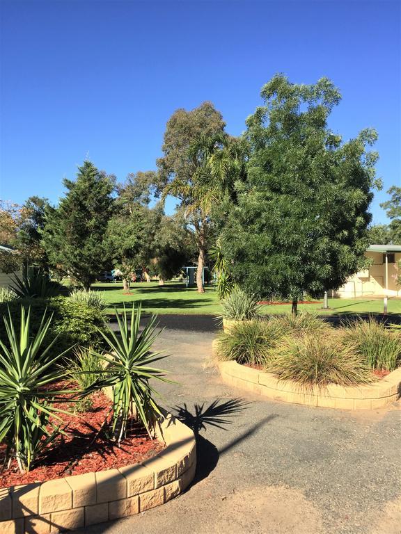 Junee Tourist Park Luaran gambar